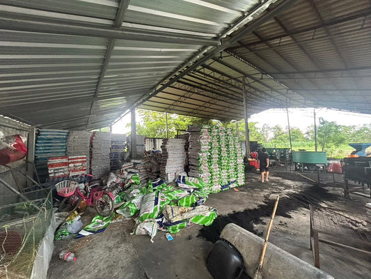 Empowering Local Economies: The Ripple Effect of Our Charcoal Production